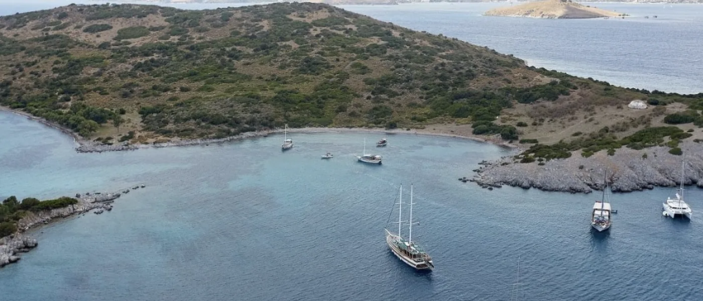 Akvaryum