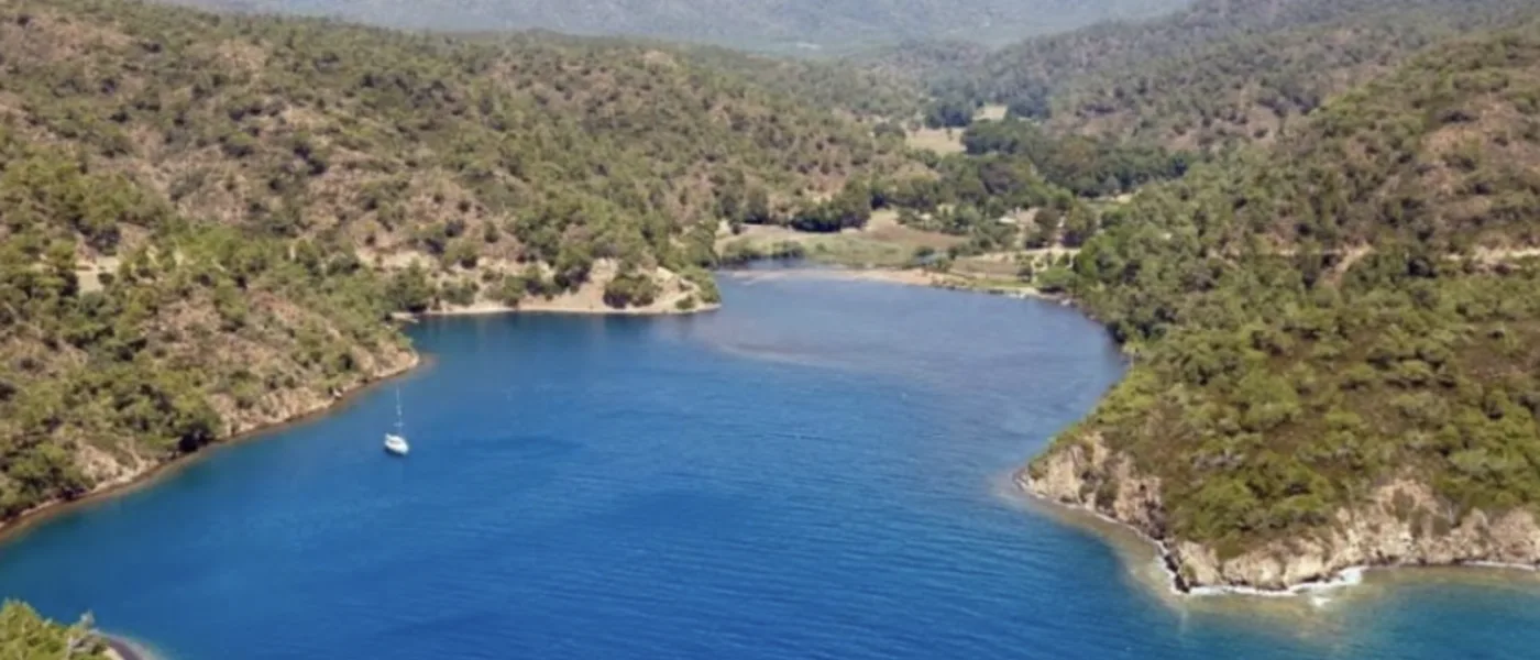 Küfre Koyu