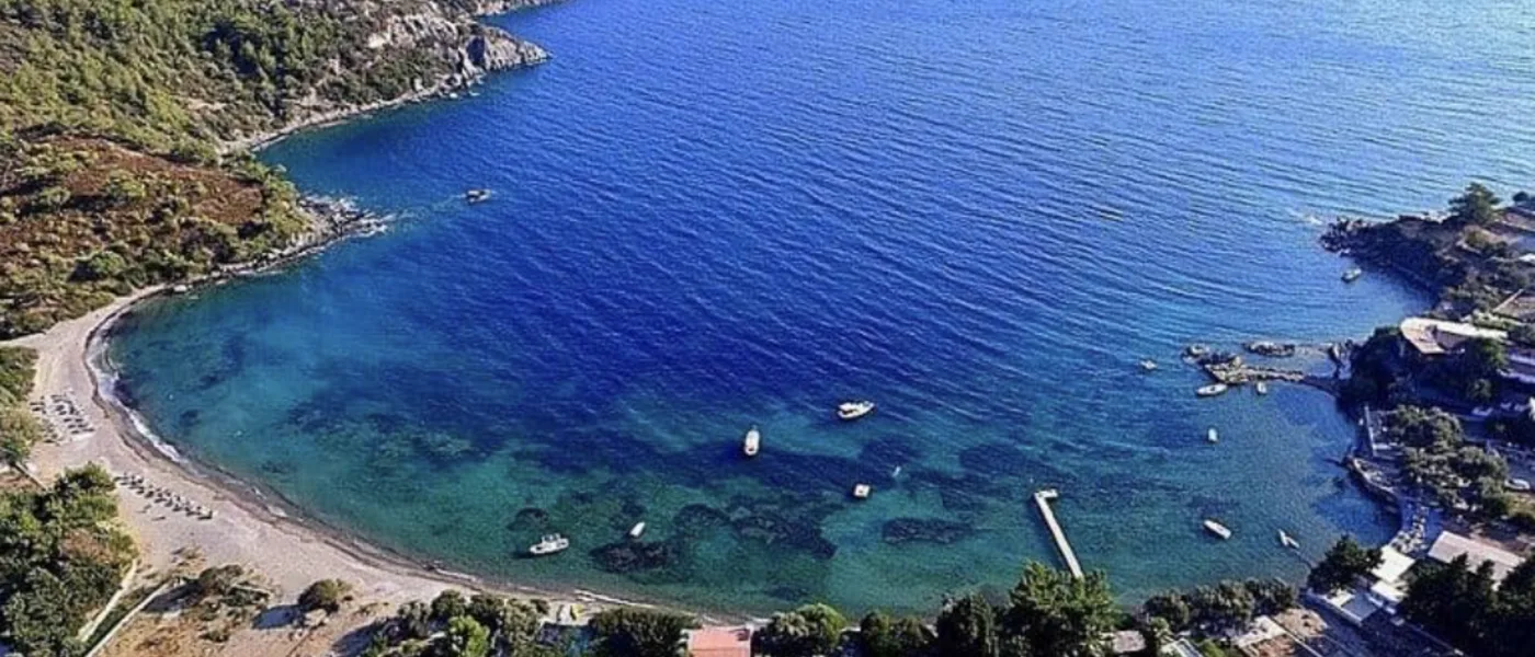 Mazı